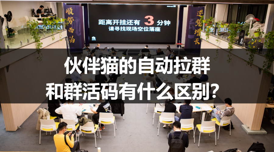 伙伴猫的自动拉群和群活码有什么区别？