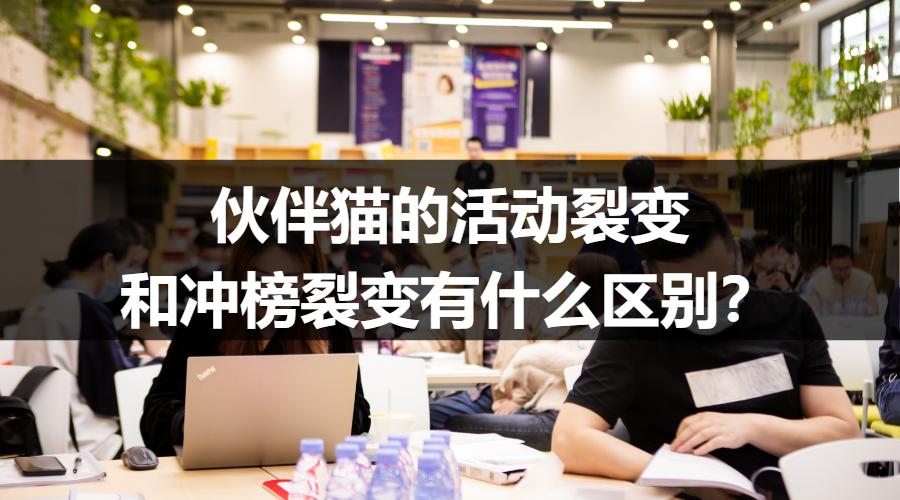 伙伴猫的活动裂变和冲榜裂变有什么区别？