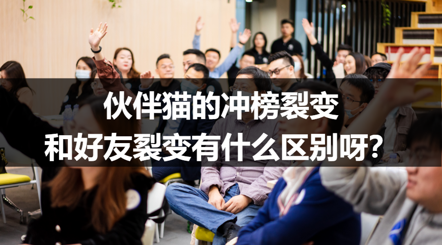 伙伴猫的冲榜裂变和好友裂变有什么区别呀？